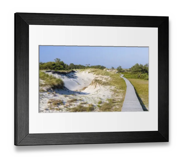 Framed Print : Landscape with coastal dunes at Darsser Ort on the Darss Peninsula Framed Print : Landscape with coastal dunes at Darsser Ort on the Darss Peninsula