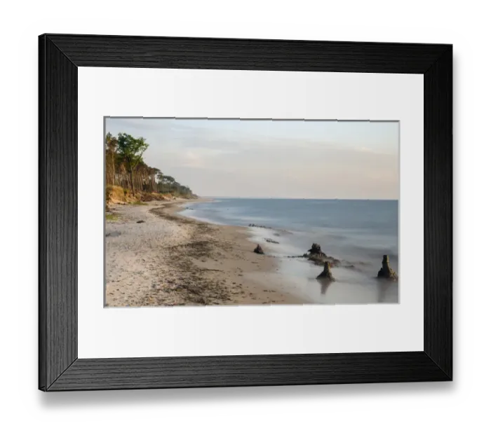 Framed Print : Coastal forest at the Weststrand (western beach) on the Darss Peninsula