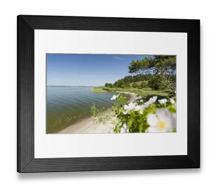 Framed Print : Landscape near Gnitz at the nature reserve Weisser Berg on the island Usedom. Europe Framed Print : Landscape near Gnitz at the nature reserve Weisser Berg on the island Usedom. Europe