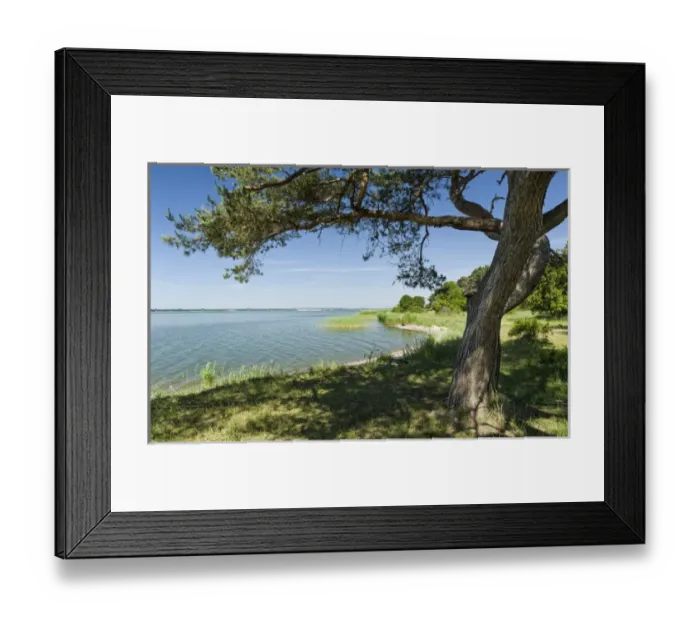 Framed Print : Landscape near Gnitz at the nature reserve Weisser Berg on the island Usedom. Europe