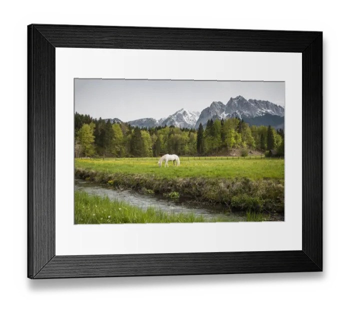 Framed Print : Grazing horse in pasture in Bavarian Alps with snow Framed Print : Grazing horse in pasture in Bavarian Alps with snow