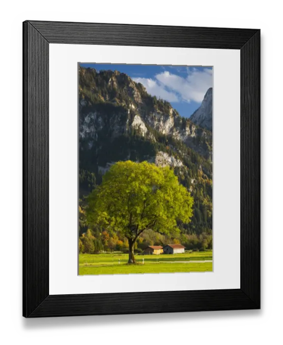 Framed Print : Germany, Bavaria, Hohenschwangau, alpine landscape, late afternoon Framed Print : Germany, Bavaria, Hohenschwangau, alpine landscape, late afternoon