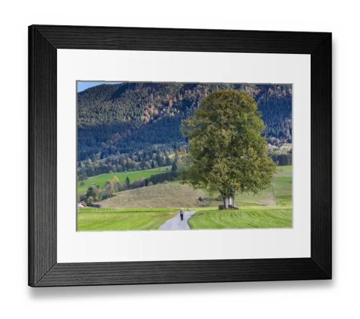 Framed Print : Germany, Bavaria, Halblech, alpine landscape Framed Print : Germany, Bavaria, Halblech, alpine landscape