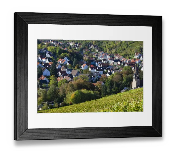 Framed Print : Germany, Baden-Wurttemburg, Stuttgart-Uhlbach, vineyards above Unter-turkheim, fall Framed Print : Germany, Baden-Wurttemburg, Stuttgart-Uhlbach, vineyards above Unter-turkheim, fall