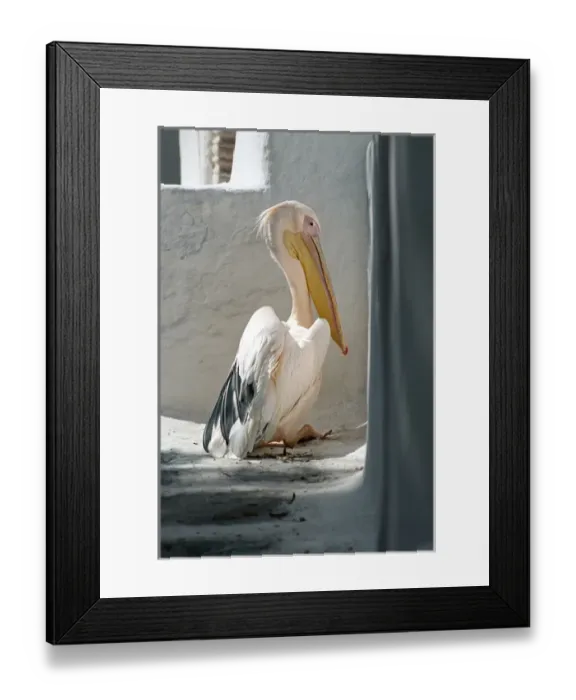 Framed Print : Greece; Mykonos; Chora. Petros the Pelican has been the official mascot of Mykonos
