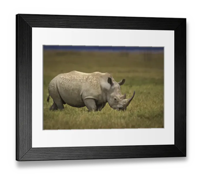 Framed Print : Africa, Kenya, Lake Nakuru National Park