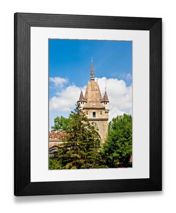 Framed Print : Vajdahunyad Castle in Varosliget (City Park), Budapest, Hungary