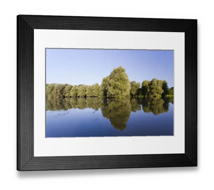Framed Print : The Gemenc Forest in the Danube-Drava National Park, Hungary Framed Print : The Gemenc Forest in the Danube-Drava National Park, Hungary
