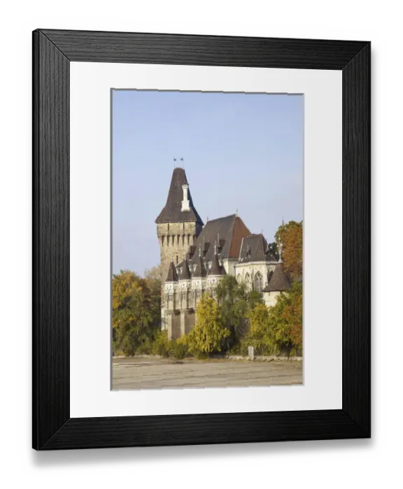 Framed Print : Vajdahunyad Castle in Budapest during fall, Hungary