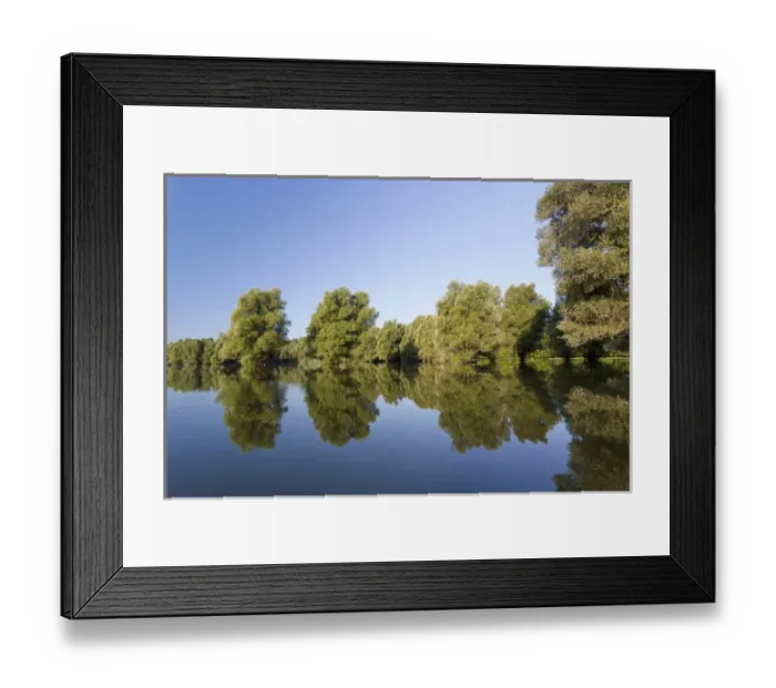 Framed Print : The Gemenc Forest in the Danube-Drava National Park, Hungary Framed Print : The Gemenc Forest in the Danube-Drava National Park, Hungary