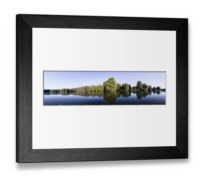 Framed Print : The Gemenc Forest in the Danube-Drava National Park, Hungary