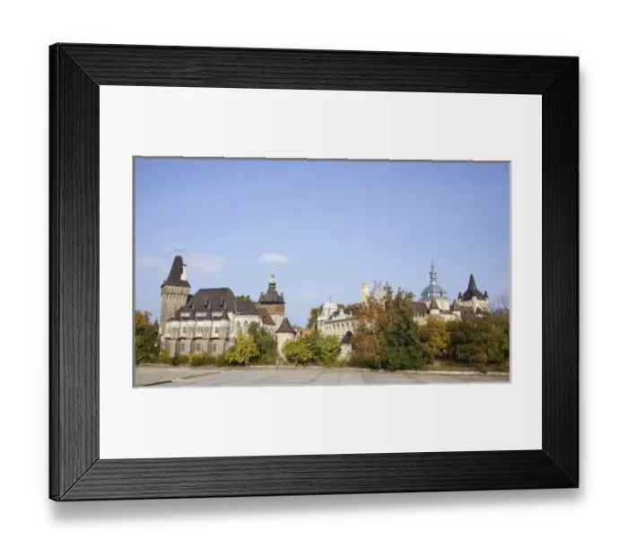 Framed Print : Vajdahunyad Castle in Budapest during fall, Hungary
