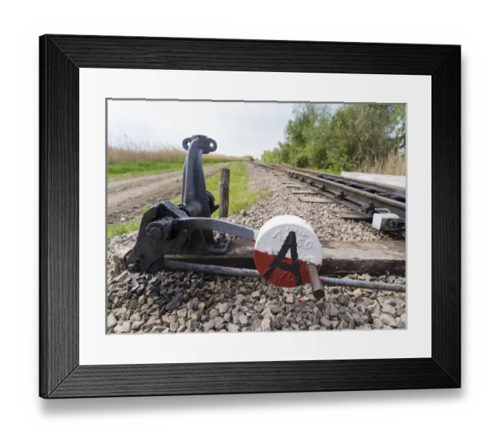 Framed Print : Switch of the local railway at the fish ponds near Hortobagy (Hortobagy Halastavi Kisvasut) Framed Print : Switch of the local railway at the fish ponds near Hortobagy (Hortobagy Halastavi Kisvasut)