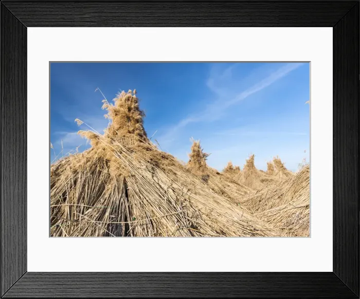 Framed Print : Traditional reed stack in the hungarian Puszta, Hortobagy NP, UNESCO world heritage