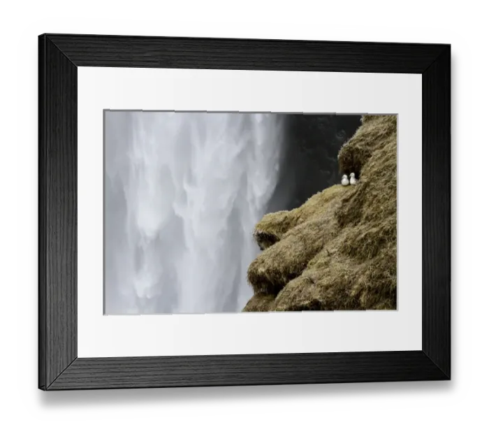Framed Print : Iceland. Close-up of Skogafoss waterfall. Credit as: Bill Young / Jaynes Gallery / DanitaDelimont Framed Print : Iceland. Close-up of Skogafoss waterfall. Credit as: Bill Young / Jaynes Gallery / DanitaDelimont
