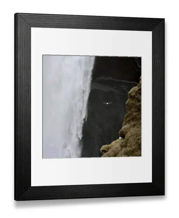 Framed Print : Iceland. Seagull flies past Skogafoss waterfall Framed Print : Iceland. Seagull flies past Skogafoss waterfall