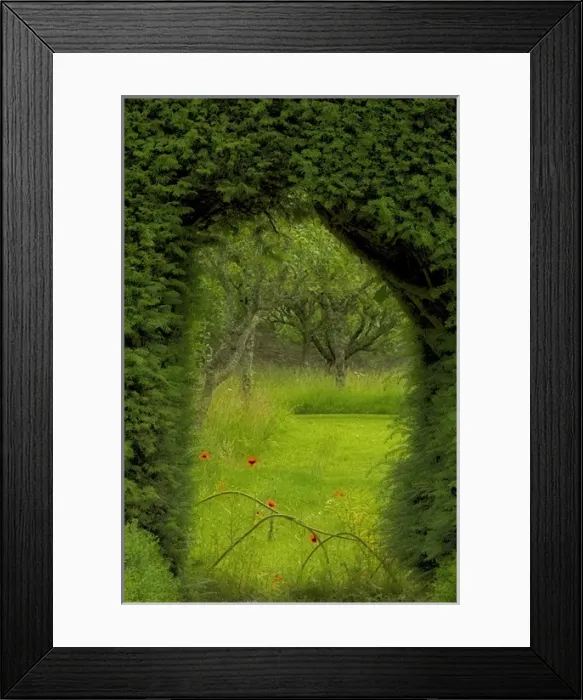 Framed Print : Europe, Ireland. Garden at Ardmore Castle
