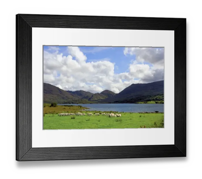 Framed Print : Sheep near a small lake in the Gap of Dunloe, Killarney National Park, Ireland