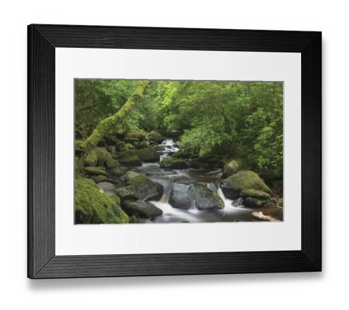 Framed Print : Killarney National Park. County Kerry. Ireland. Torc Waterfall Framed Print : Killarney National Park. County Kerry. Ireland. Torc Waterfall