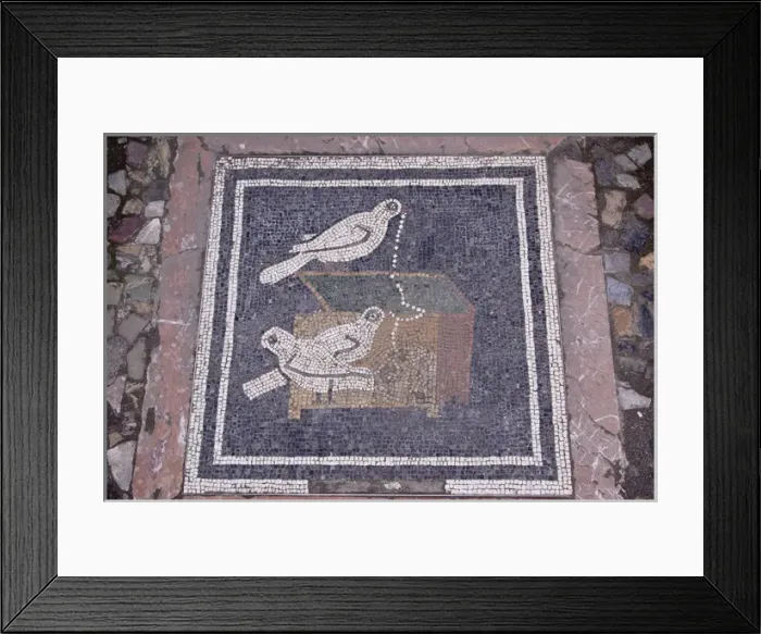 Framed Print : Europe, Italy, Campania, Pompeii. Bird mosaic in the floor of the House of the Faun
