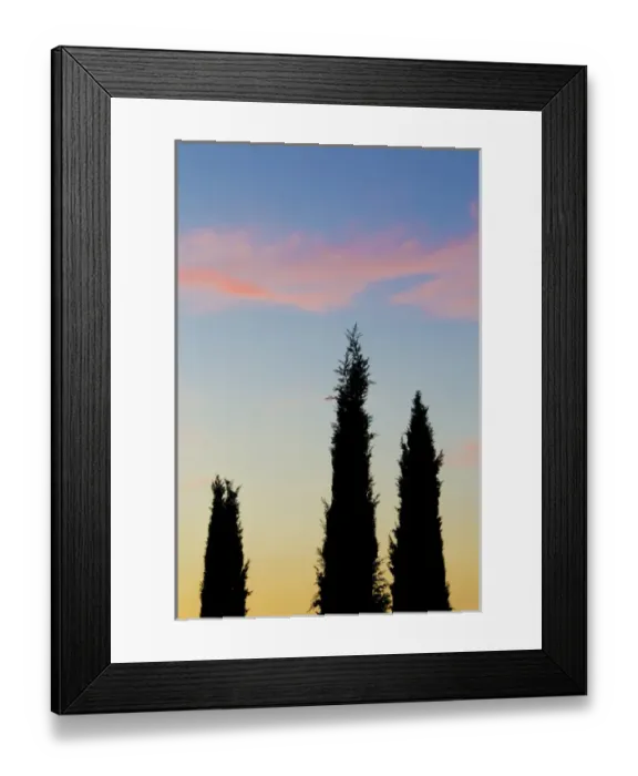 Framed Print : Italy, Orvieto. Cypress trees and cloud at sunset