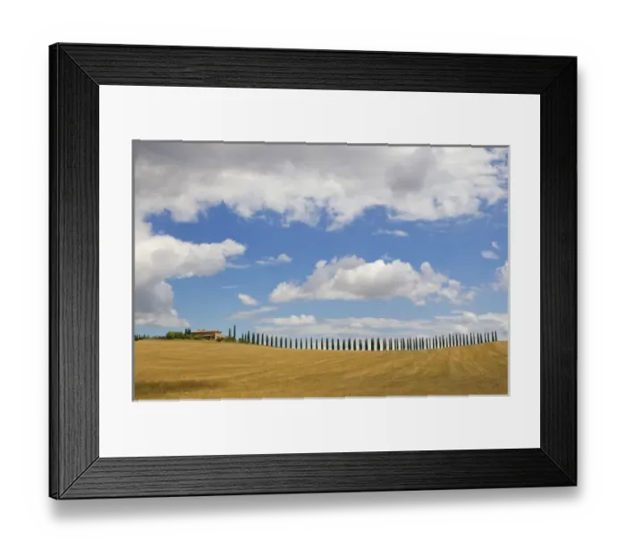 Framed Print : Italy, Tuscany. Cypress tree alley and farm house Framed Print : Italy, Tuscany. Cypress tree alley and farm house