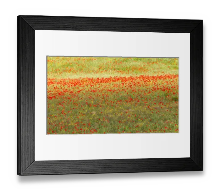 Framed Print : A painterly effect on a photograph of poppies in an Italian meadow