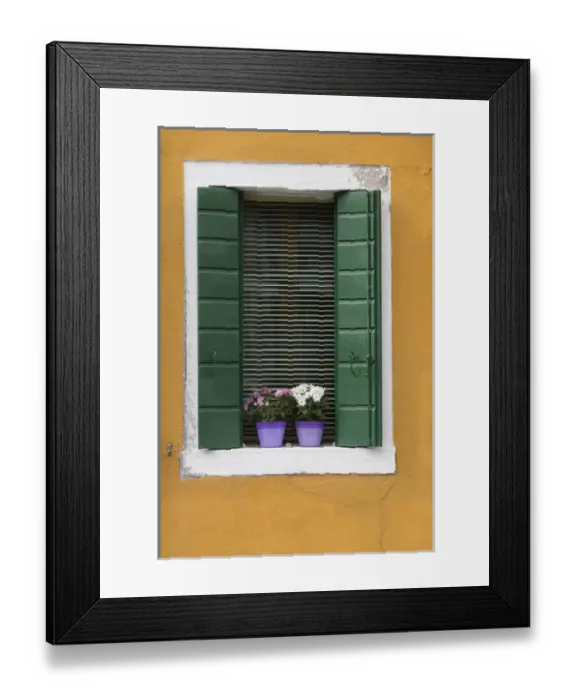 Framed Print : Italy, Venice. A green-shuttered window with purple flowerpots on a yellow wall is