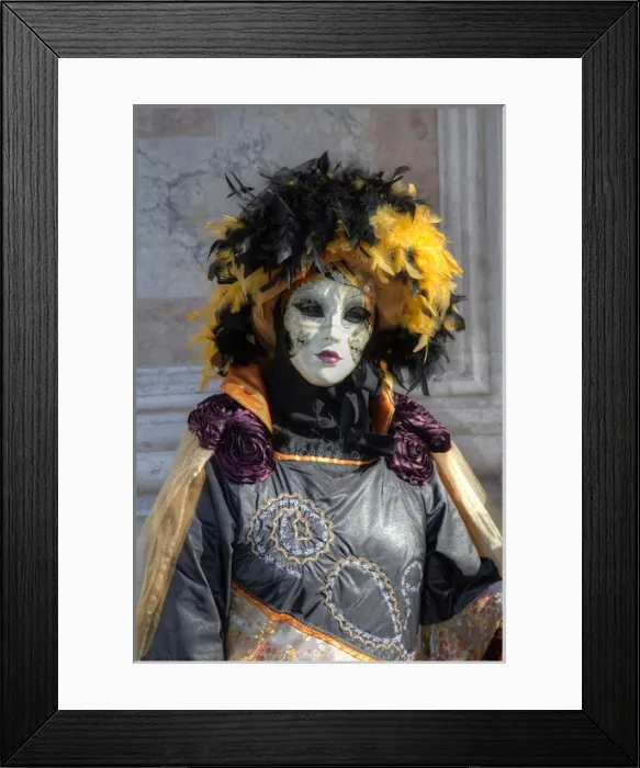 Framed Print : Venice at Carnival Time, Italy