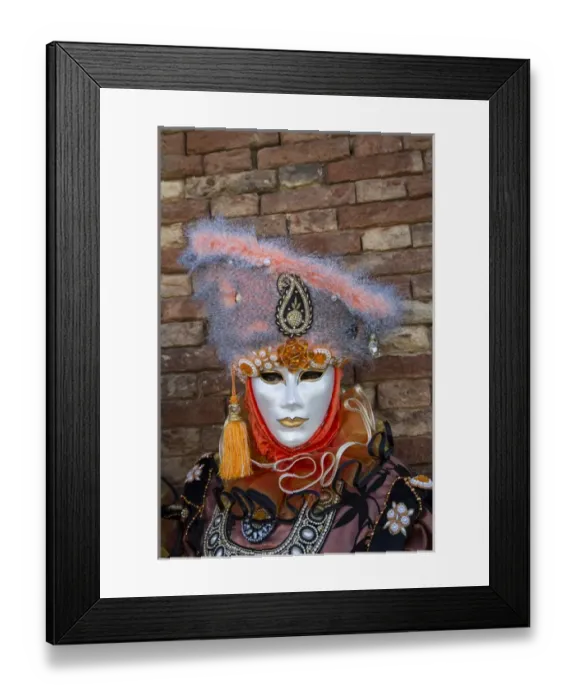 Framed Print : Venice at Carnival Time, Italy