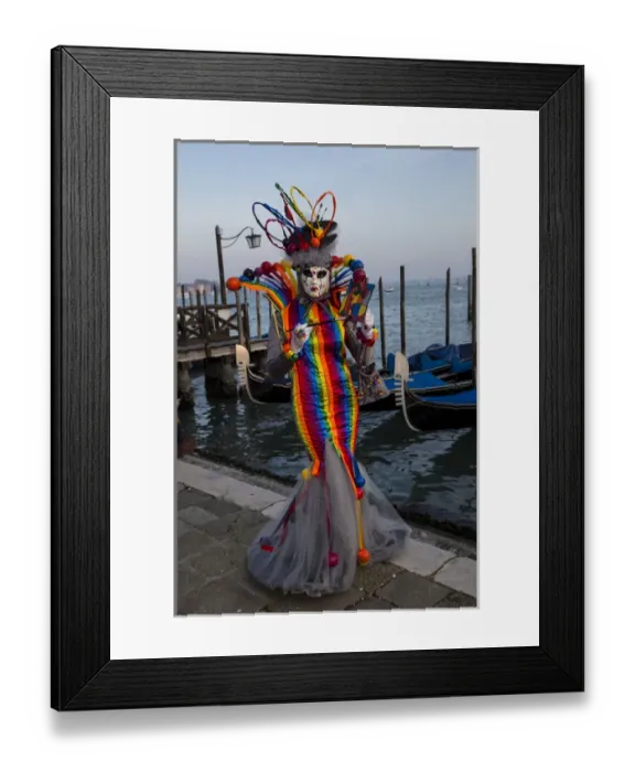 Framed Print : Venice at Carnival Time, Italy