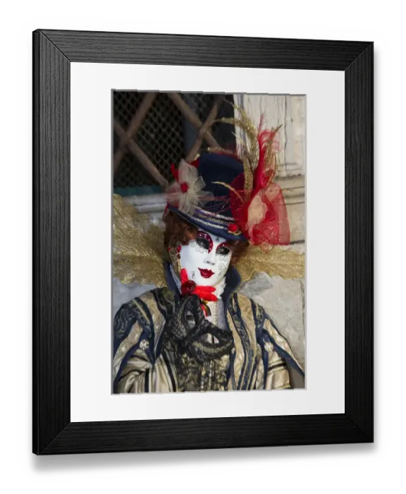 Framed Print : Venice at Carnival Time, Italy