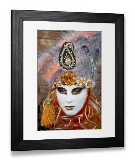 Framed Print : Venice at Carnival Time, Italy