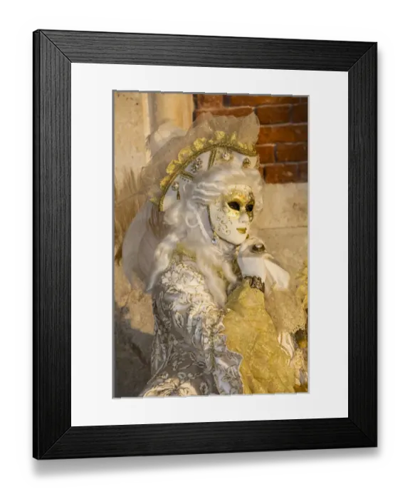 Framed Print : Venice at Carnival Time, Italy