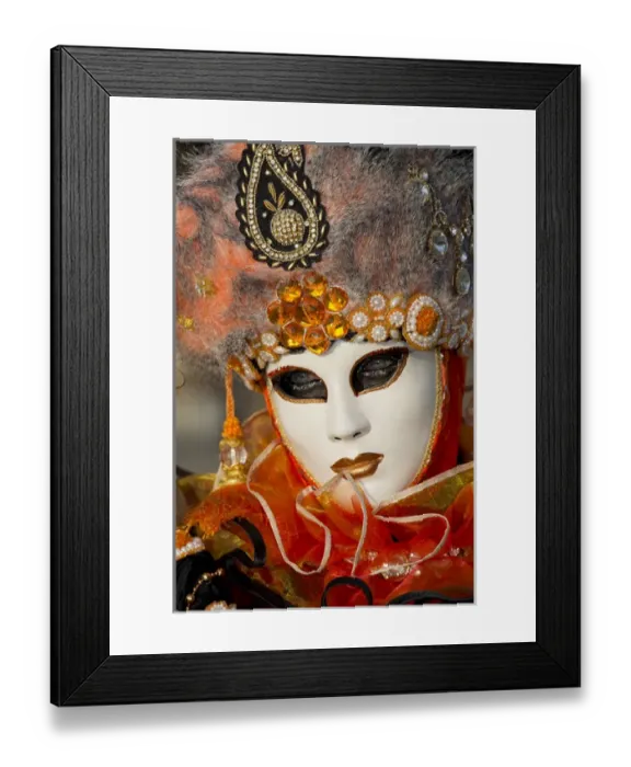 Framed Print : Venice at Carnival Time, Italy