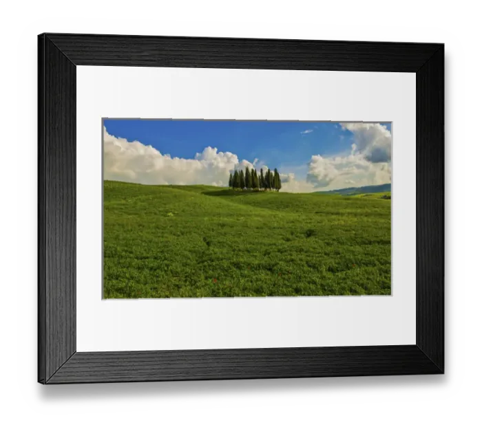 Framed Print : Italy, Tuscany, Pines, Hillside Framed Print : Italy, Tuscany, Pines, Hillside