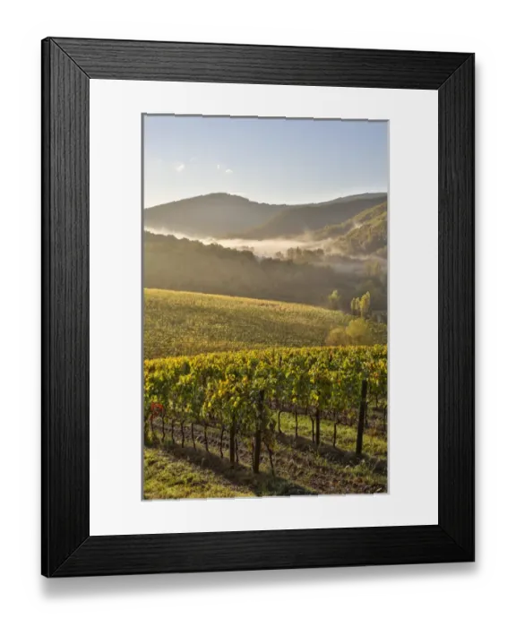 Framed Print : Italy, Radda in Chianti, Tuscany, Foggy Morning, Villa Campomaggio Framed Print : Italy, Radda in Chianti, Tuscany, Foggy Morning, Villa Campomaggio
