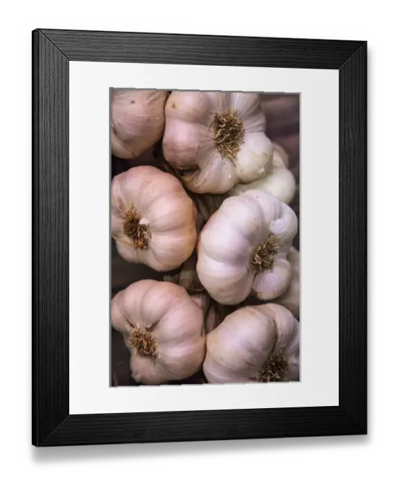 Framed Print : Italy, Radda in Chianti, Garlic String Framed Print : Italy, Radda in Chianti, Garlic String