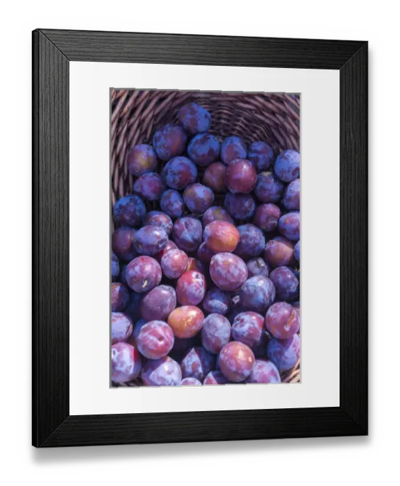 Framed Print : Fresh purple plums for sale, Andria, Italy, Europe Framed Print : Fresh purple plums for sale, Andria, Italy, Europe