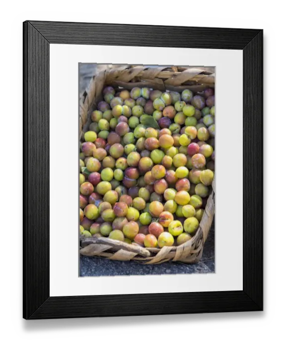 Framed Print : Fresh golden plums for sale, Andria, Italy, Europe Framed Print : Fresh golden plums for sale, Andria, Italy, Europe
