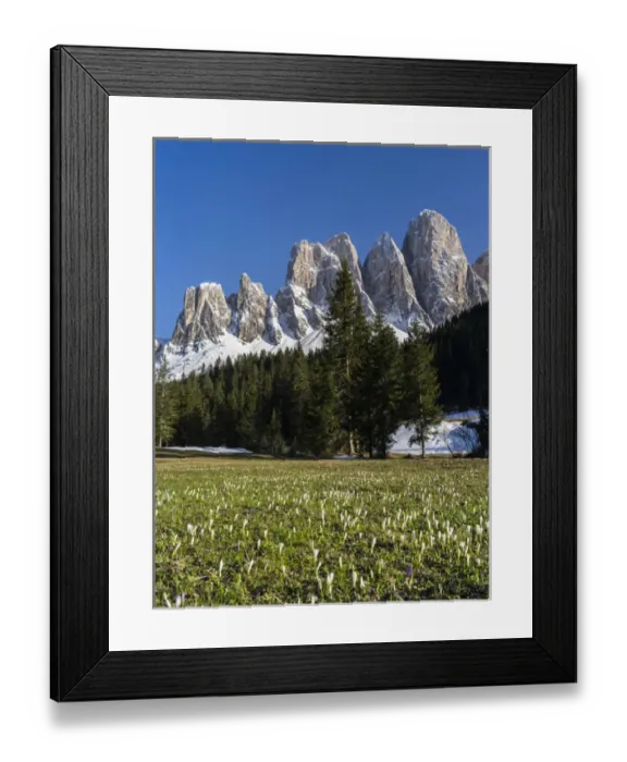 Framed Print : The peaks of the Geisler mountain range in valley Villnoess after a snow strom in spring