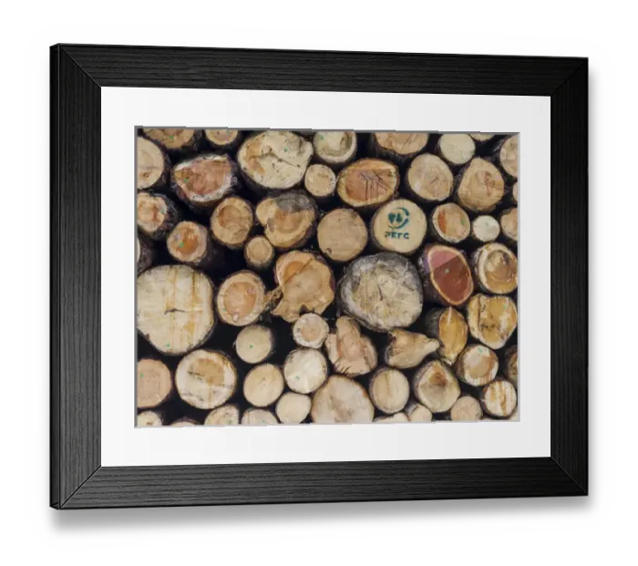 Framed Print : Logs harvested from sustainable forestry, in the Dolomites near the mountain range Rosengarten