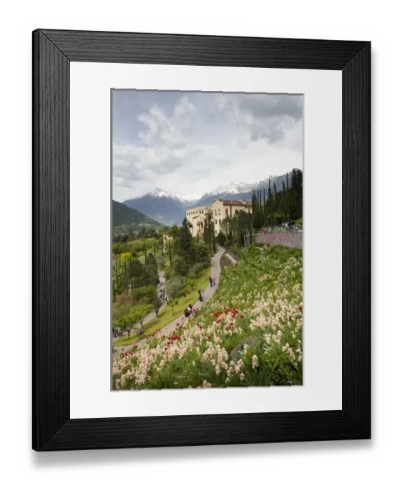 Framed Print : The gardens of Schloss Trauttmansdorff. they are considered to be among the finest