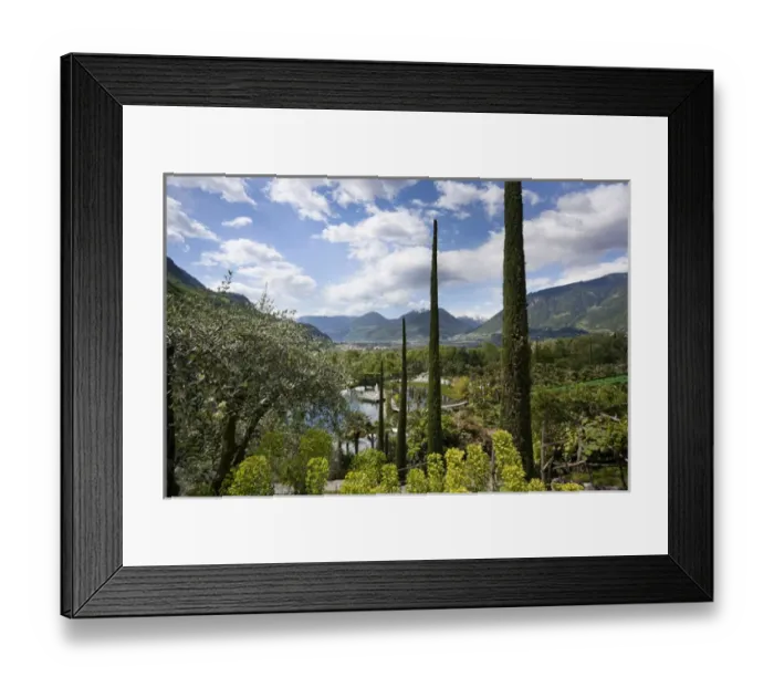 Framed Print : The gardens of Schloss Trauttmansdorff. they are considered to be among the finest Framed Print : The gardens of Schloss Trauttmansdorff. they are considered to be among the finest