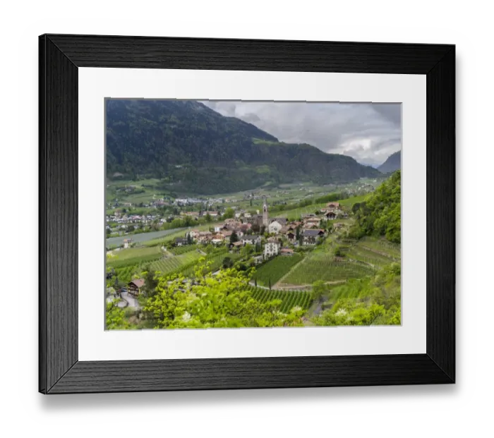 Framed Print : Village of Algund (lagundo) in the valley of river Etsch surrounded by vineyards Framed Print : Village of Algund (lagundo) in the valley of river Etsch surrounded by vineyards
