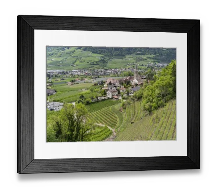 Framed Print : Village of Algund (lagundo) in the valley of river Etsch surrounded by vineyards Framed Print : Village of Algund (lagundo) in the valley of river Etsch surrounded by vineyards