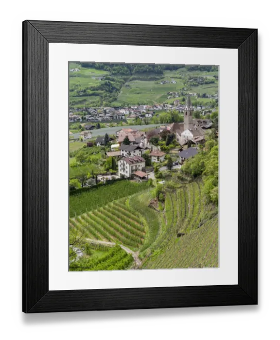 Framed Print : Village of Algund (lagundo) in the valley of river Etsch surrounded by vineyards Framed Print : Village of Algund (lagundo) in the valley of river Etsch surrounded by vineyards
