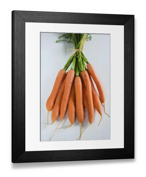 Framed Print : Bunch of Carrots (Daucus Carota)