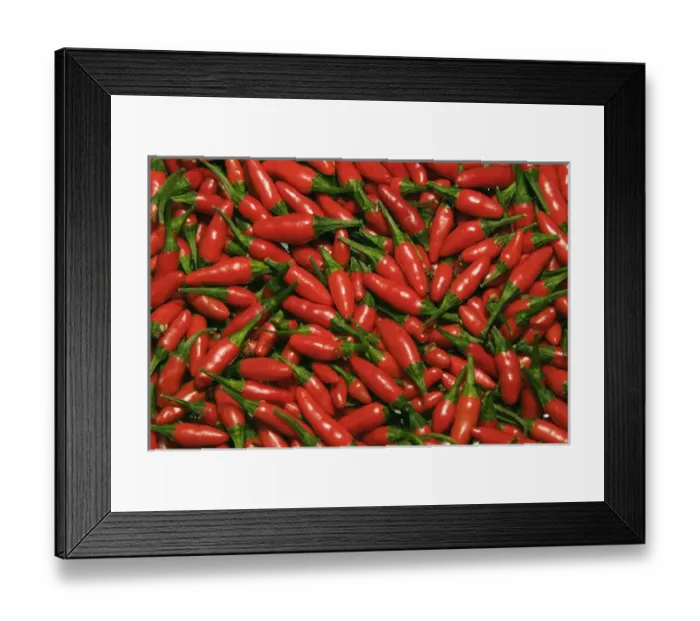 Framed Print : Hot chili peppers (Capsicum L)