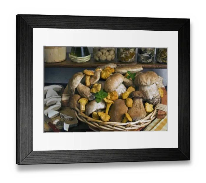 Framed Print : Penny bun, cep (Boletus edulis), chanterelles (Cantharellus cibarius), mushrooms Framed Print : Penny bun, cep (Boletus edulis), chanterelles (Cantharellus cibarius), mushrooms